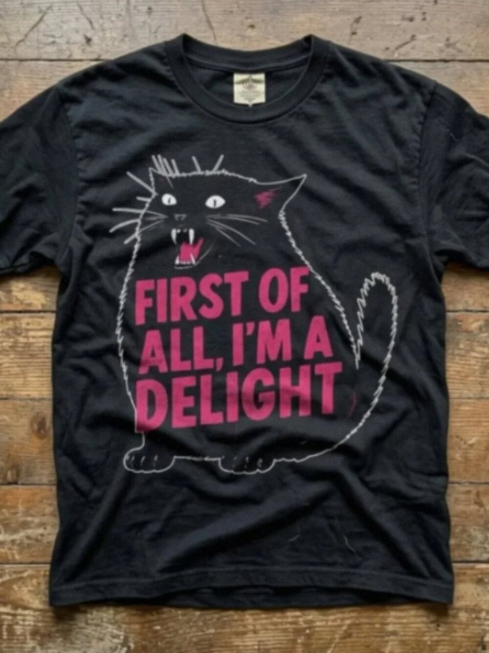 Funny Black Cat Graphic Tee First Of All Im A Delight Vintage Humor Shirt